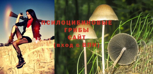 прущие крисы Михайловск